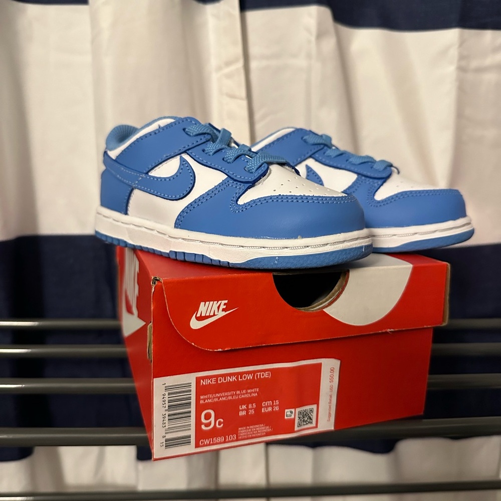 Nike Dunk Low Blue and White Sneakers